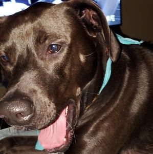 Meet your Posher, Deanna